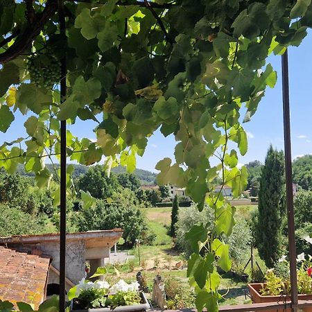 Ferienwohnung La Casa Nella Vigna Colline Del Vino Capannori Exterior foto