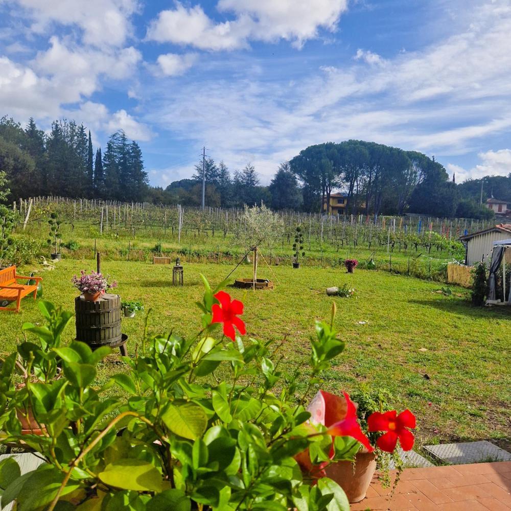 Ferienwohnung La Casa Nella Vigna Colline Del Vino Capannori Exterior foto