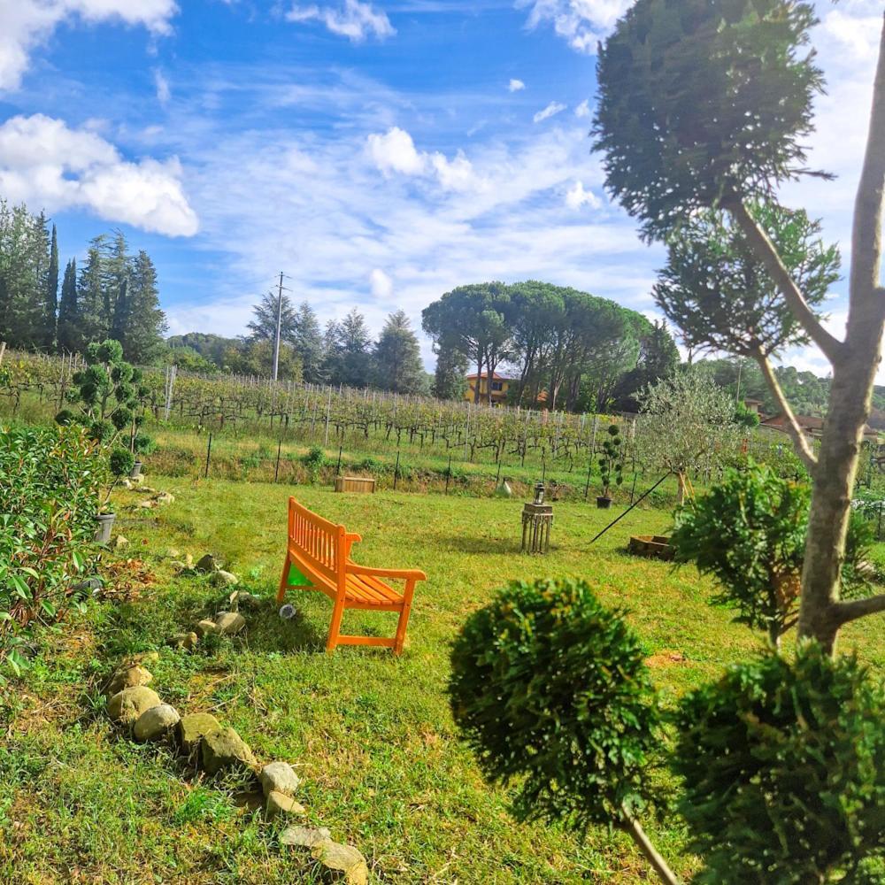 Ferienwohnung La Casa Nella Vigna Colline Del Vino Capannori Exterior foto