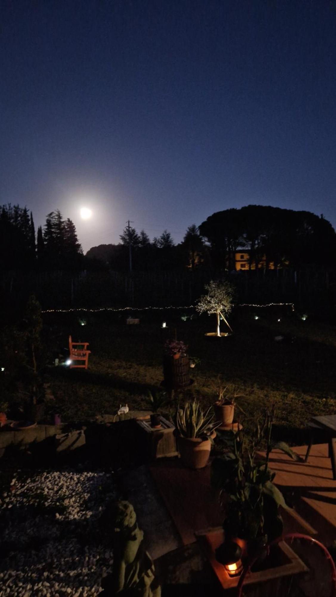 Ferienwohnung La Casa Nella Vigna Colline Del Vino Capannori Exterior foto