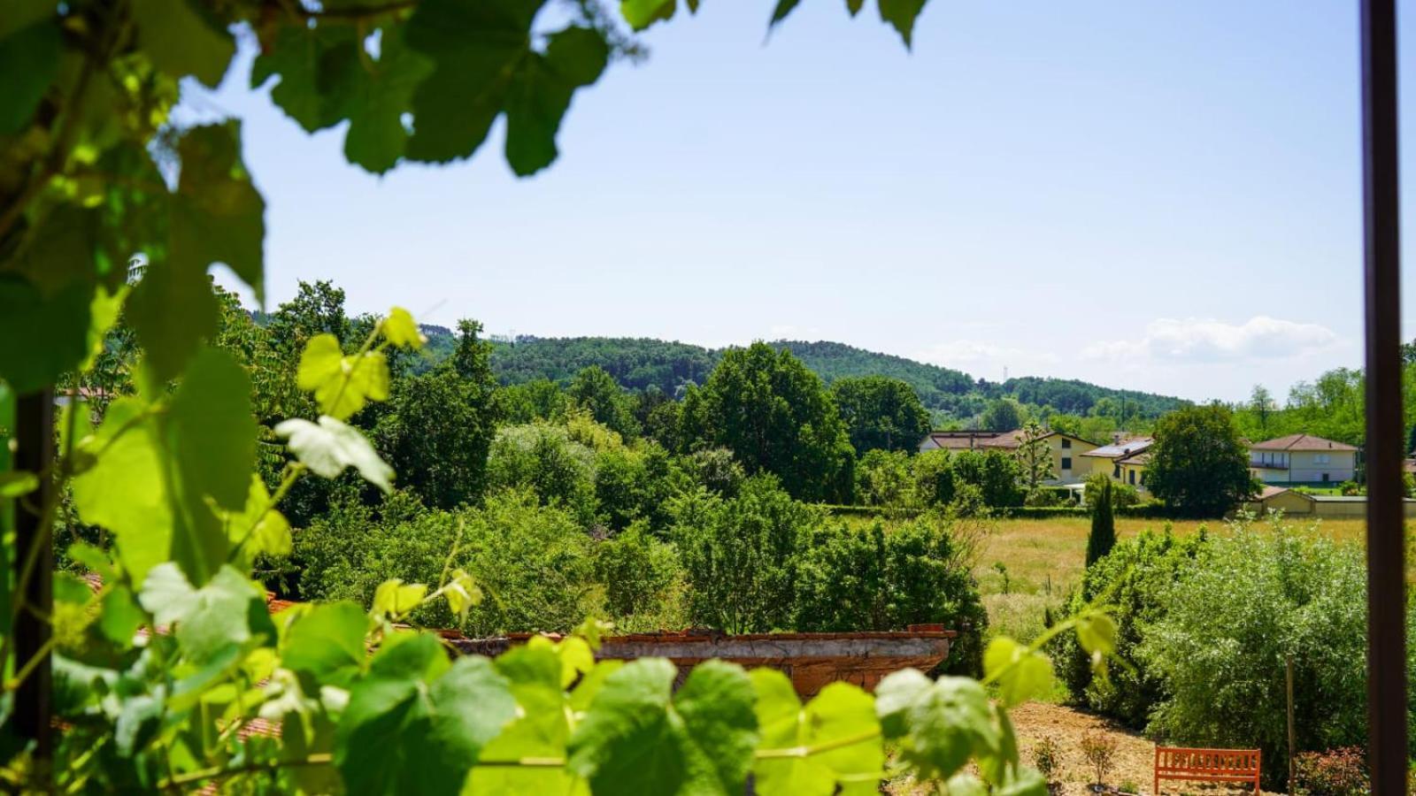 Ferienwohnung La Casa Nella Vigna Colline Del Vino Capannori Exterior foto