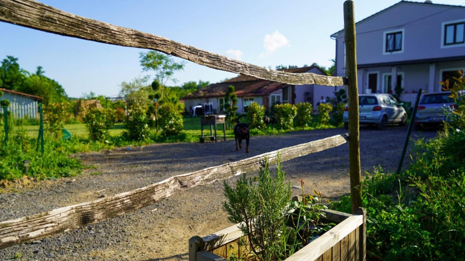 Ferienwohnung La Casa Nella Vigna Colline Del Vino Capannori Exterior foto